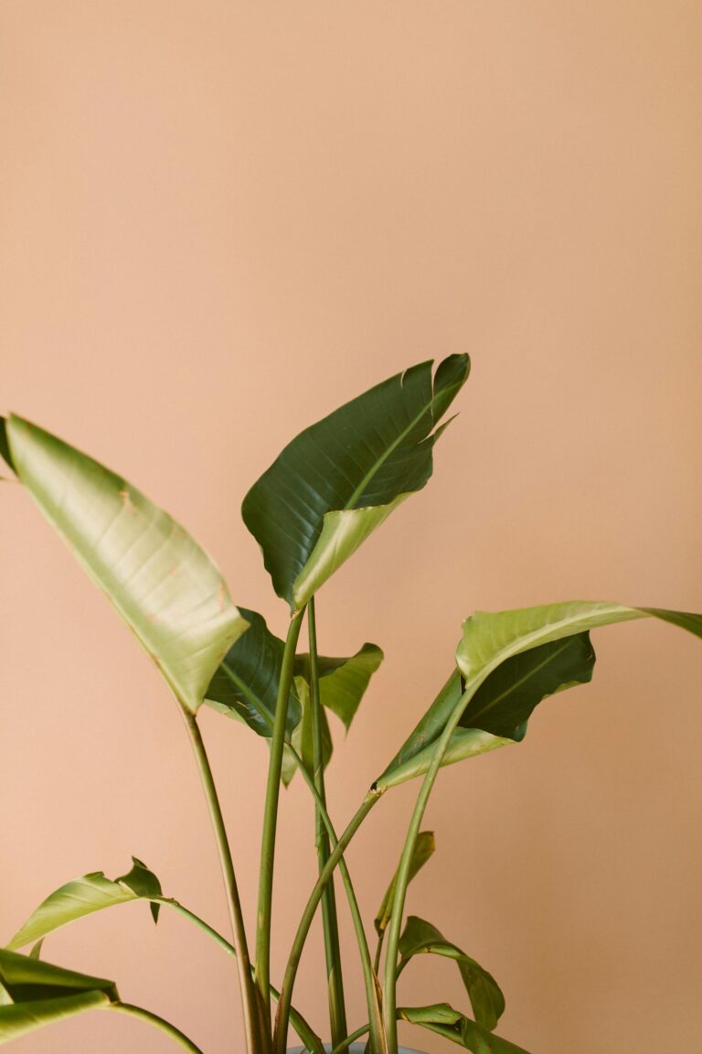 small storage space home